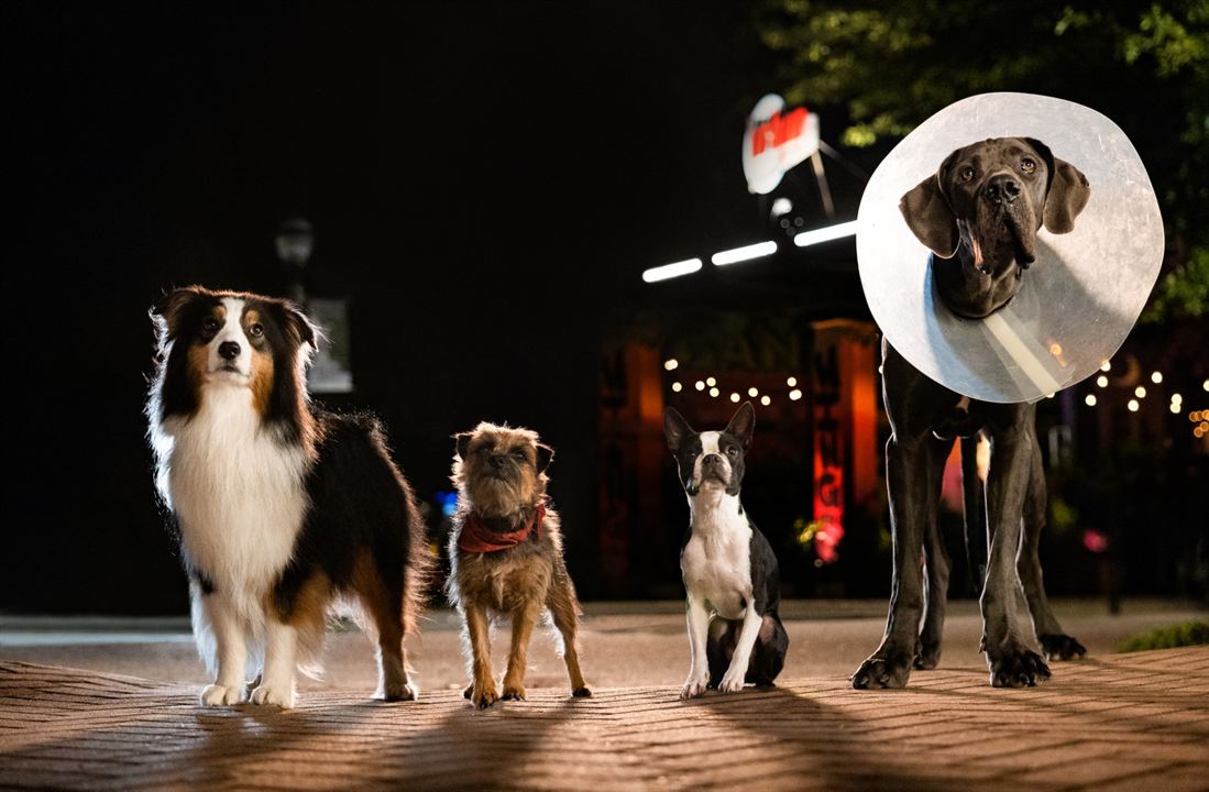 ‘vida perra’: una comedia muy animal