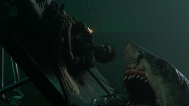 TiburonBlanco_Imagenes_4072