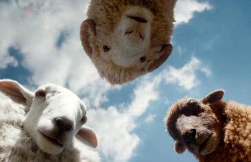 Imagen de la película Las Ovejas Detectives