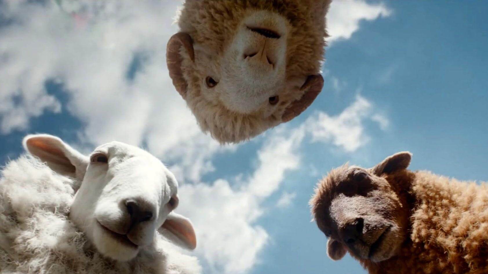 ‘Las ovejas Detectives’. simpático Thriller  con Animales